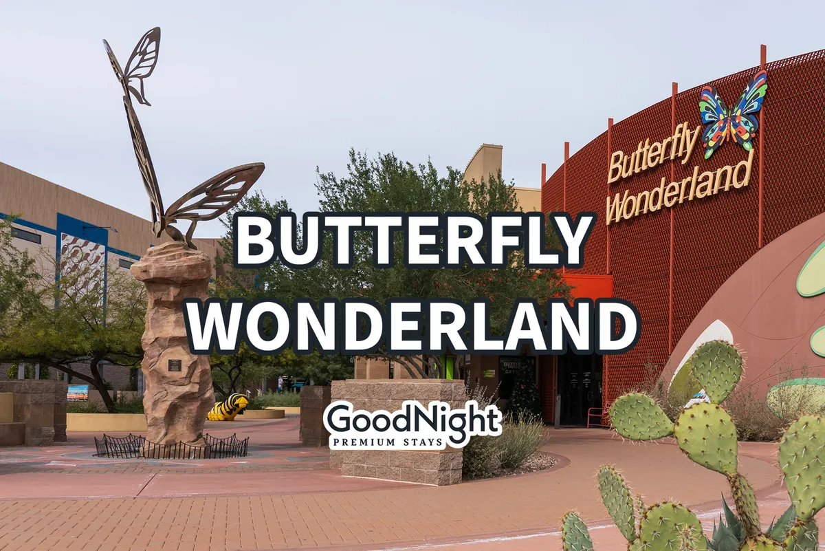 The colorful entrance to Butterfly Wonderland features a welcoming sign, a whimsical butterfly sculpture, and desert landscaping with cacti. The playful scene sets a cheerful tone and signals an interactive, nature-focused attraction suitable for families.
