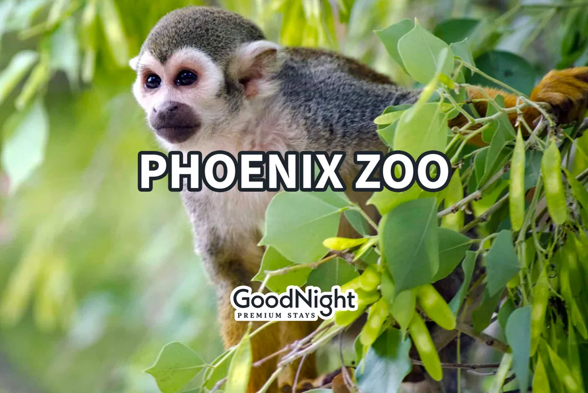 A playful monkey sits among lush green foliage, surrounded by natural habitat elements. The scene is vibrant and inviting, suggesting a fun and educational outing in a zoo environment. The presence of the animal and greenery hints at opportunities for close wildlife encounters and learning experiences for families.