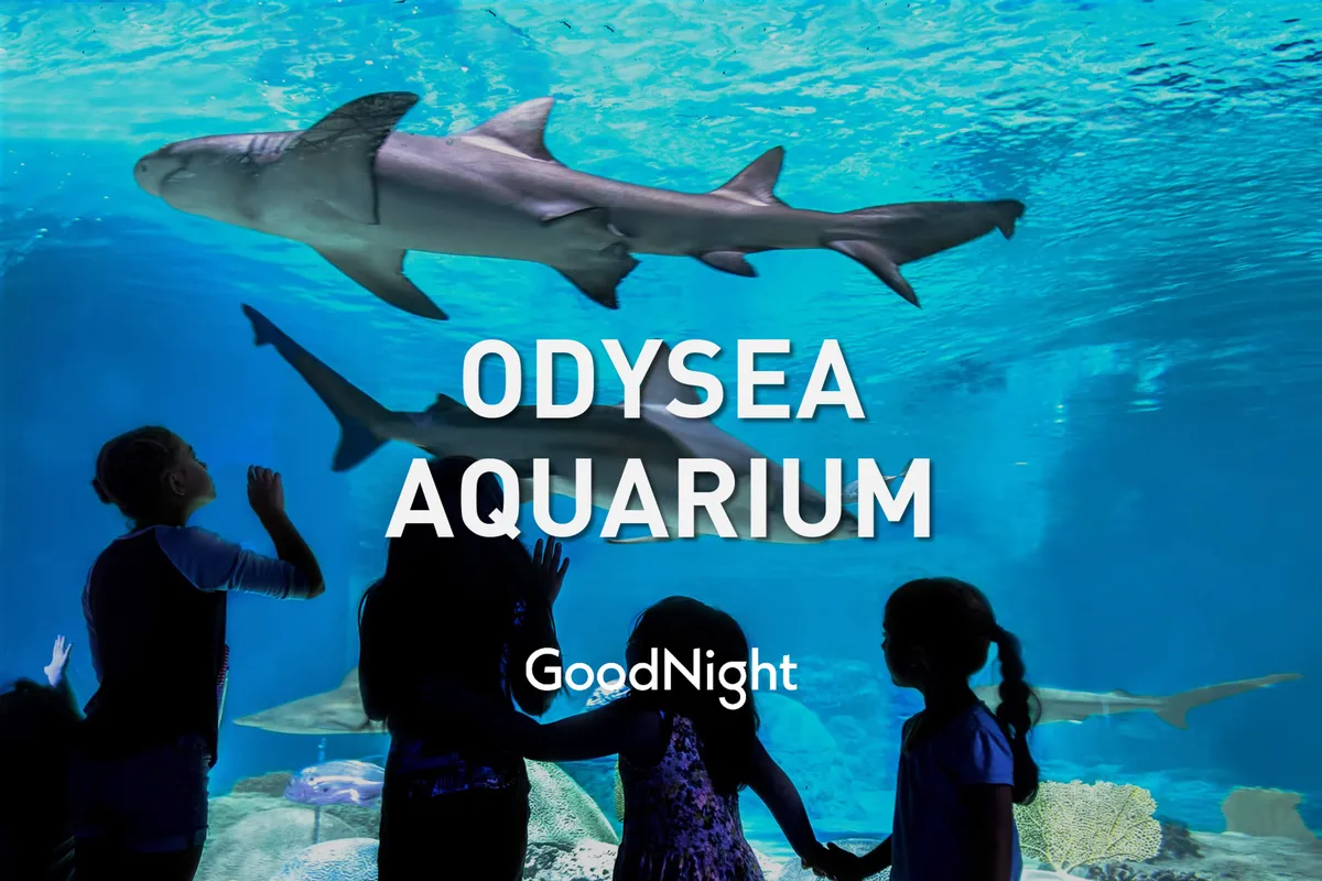 Children stand in silhouette, gazing in awe at sharks swimming through glowing blue water inside a modern aquarium. The dramatic lighting and expressions of wonder on the children's faces capture the excitement of learning and bonding.